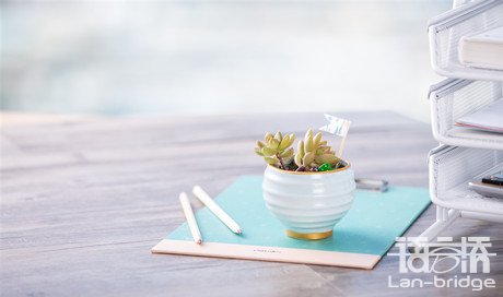 專(zhuān)業(yè)論文翻譯報(bào)價(jià)